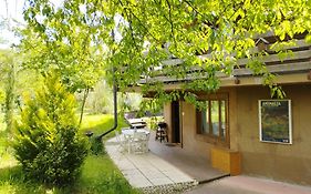 Alvéole du Léman - Appartement Le Nid du Chat Noir