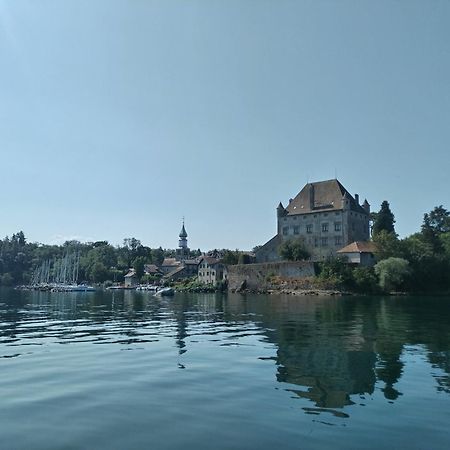 Alvéole du Léman - Appartement Le Nid du Chat Noir Sciez Exterior foto